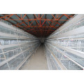 Poultry Farm Equipment of Chicken Cage for Broiler and Layer